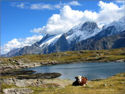 Tour of the Alps — 2026